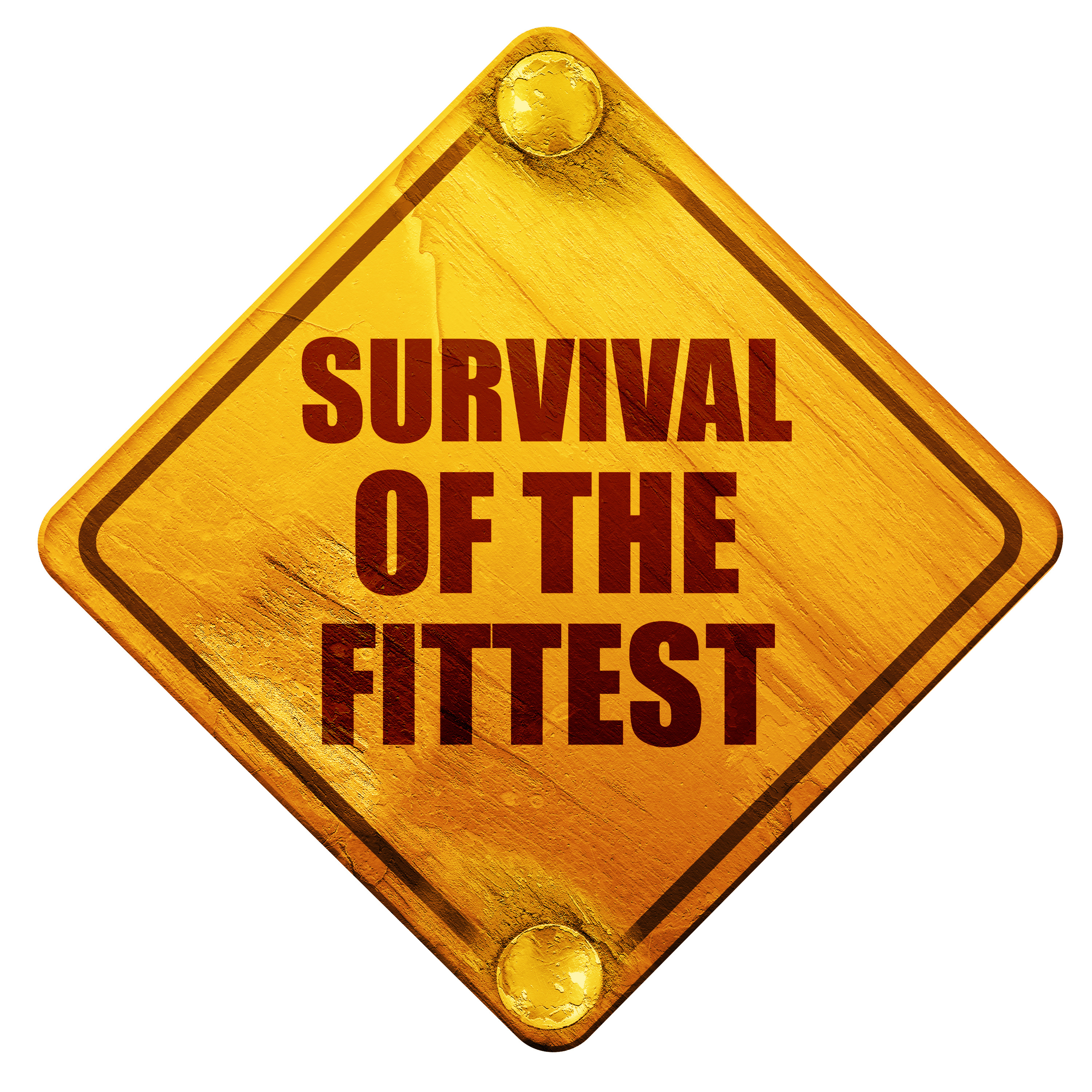 AdobeStock_Survival of the